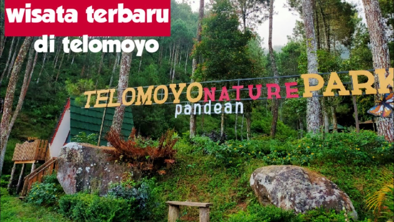 Telomoyo Nature Park: Keindahan Alam dan Petualangan Menakjubkan